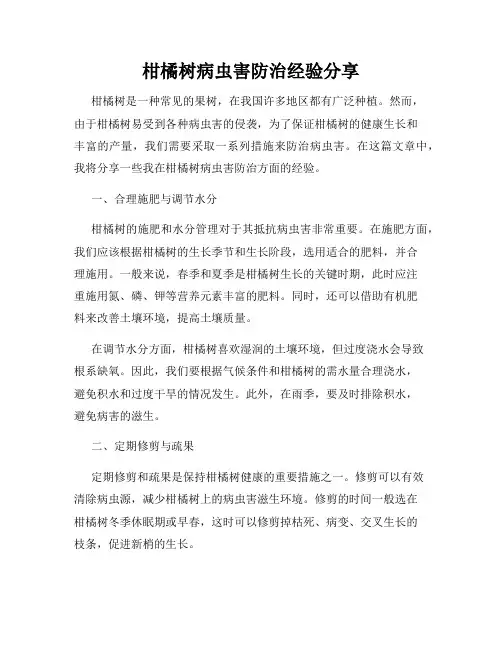柑橘树病虫害防治经验分享