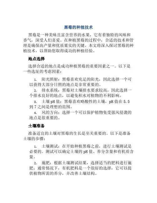 黑莓的种植技术