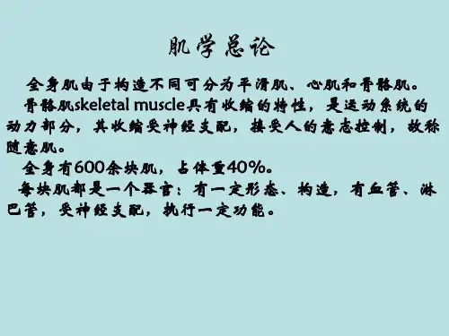 肌学总论头颈肌躯干肌