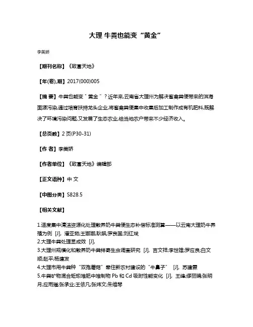 大理 牛粪也能变“黄金”
