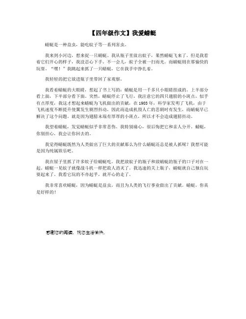 【四年级作文】我爱蜻蜓