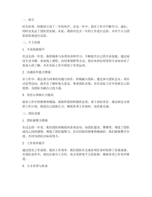 工作总结个人团队发展