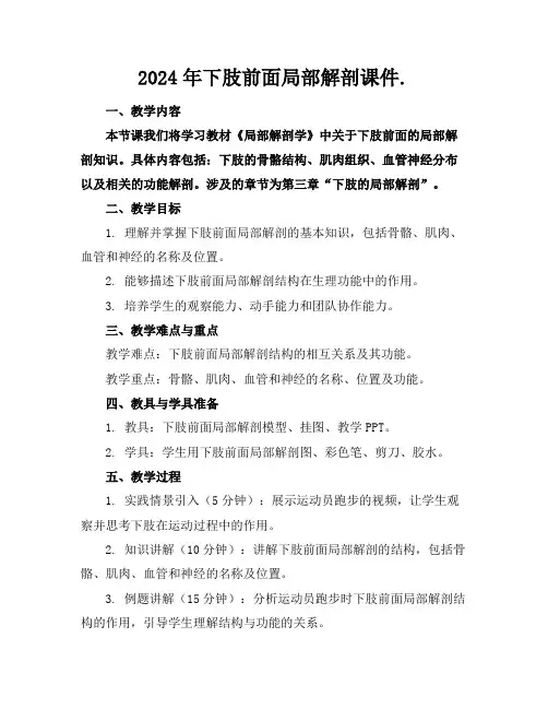 2024年下肢前面局部解剖课件.