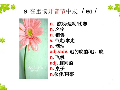 元音字母及字母组合发音