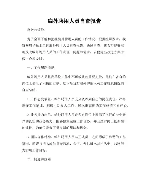 编外聘用人员自查报告