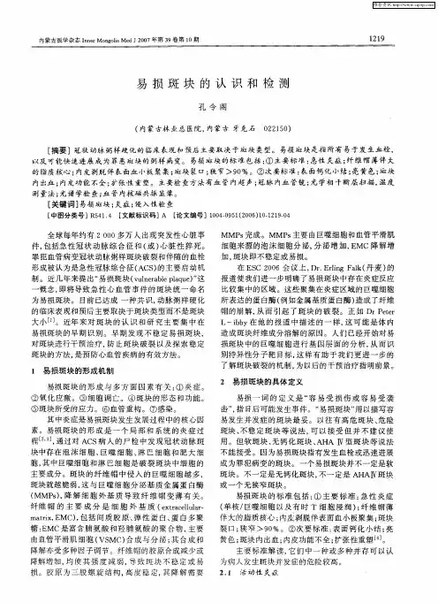 易损斑块的认识和检测
