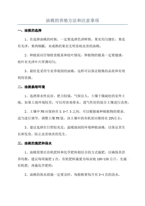 油桃的养殖方法和注意事项