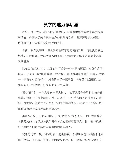 汉字的魅力读后感
