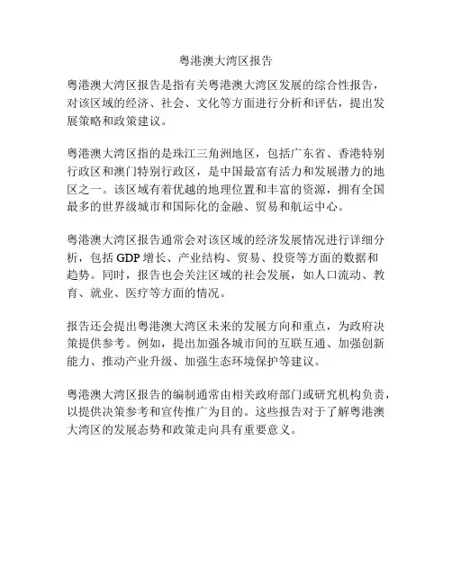 粤港澳大湾区报告
