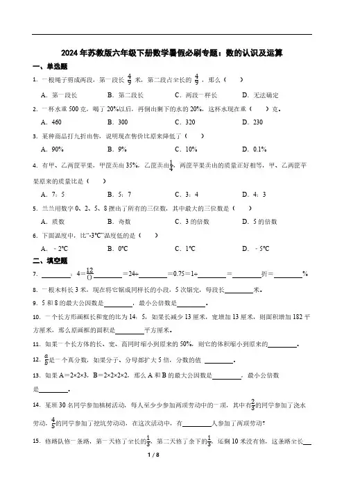 2024年苏教版六年级下册数学暑假必刷专题：数的认识及运算(含答案)