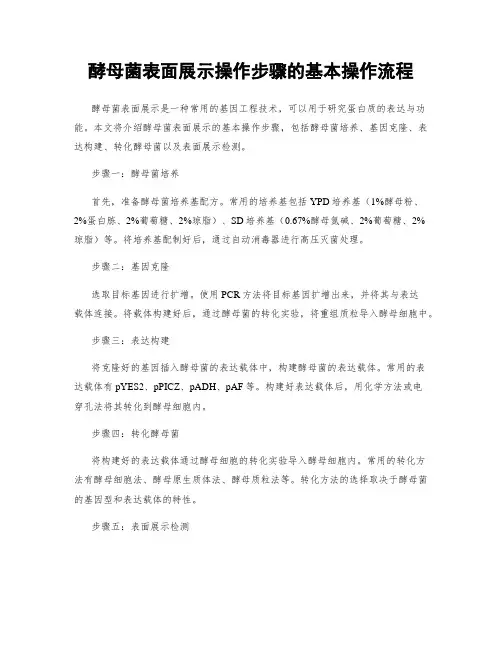 酵母菌表面展示操作步骤的基本操作流程