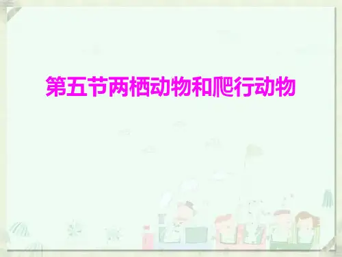 两栖动物和爬行动物PPT课件