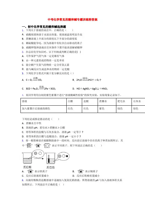 中考化学常见的酸和碱专题训练附答案