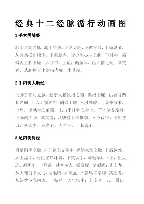 十二经脉循行动画图