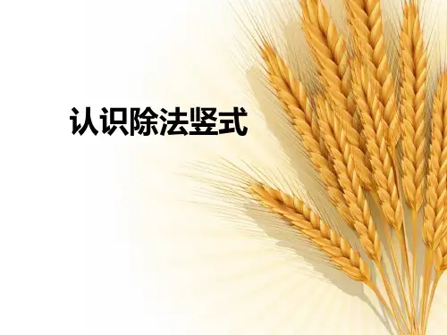 《认识除法竖式》教学课件