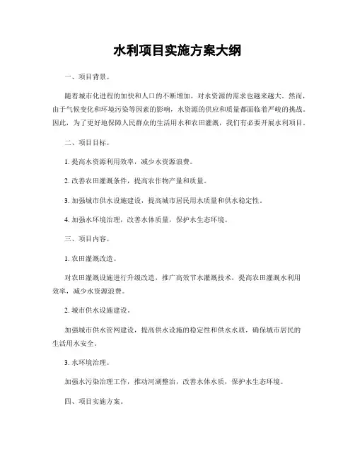 水利项目实施方案大纲