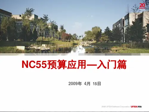 V55计划预算入门篇.pptx