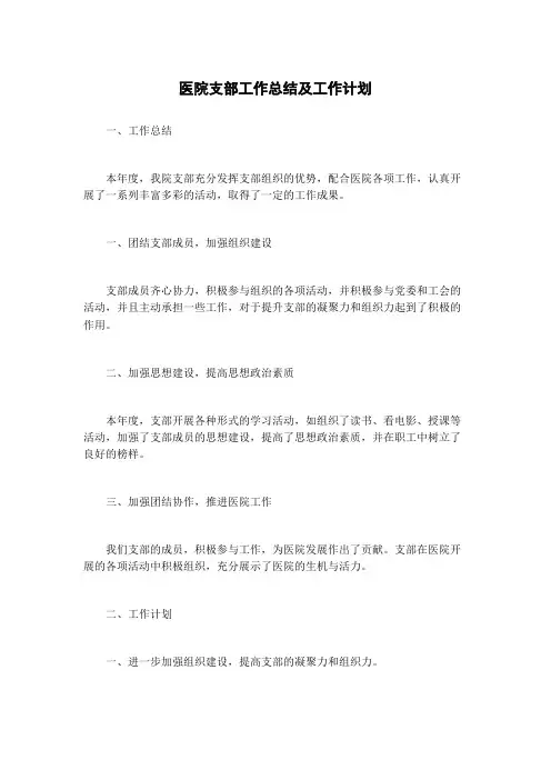 医院支部工作总结及工作计划