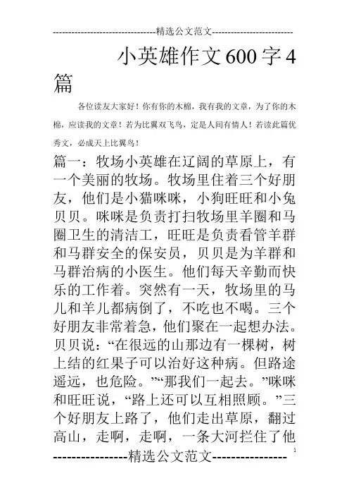 小英雄作文600字4篇