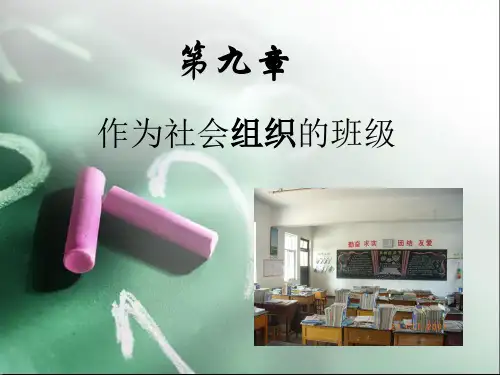 作为社会组织的班级