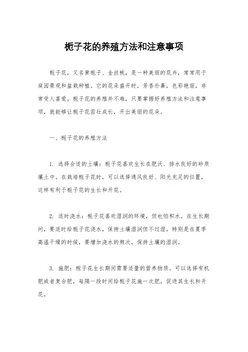 栀子花的养殖方法和注意事项