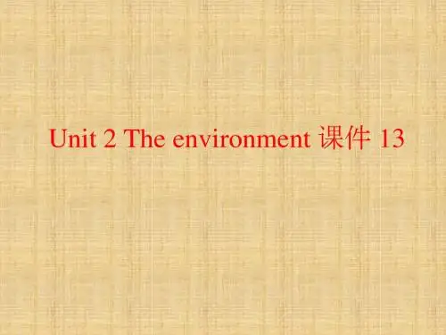 译林牛津版高中英语必修5课件 Unit 2 The environment 课件 13