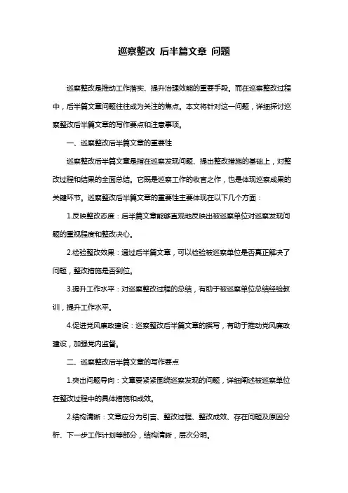 巡察整改 后半篇文章 问题