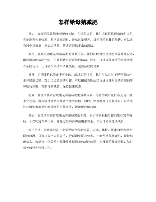 怎样给母猪减肥
