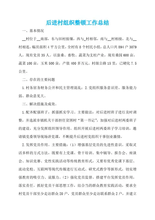 后进村组织整顿工作总结  