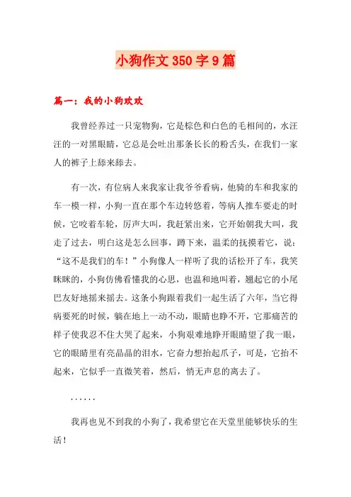 小狗作文350字9篇