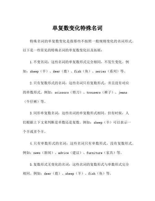 单复数变化特殊名词