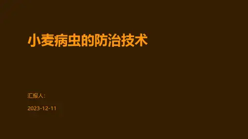 小麦病虫的防治技术