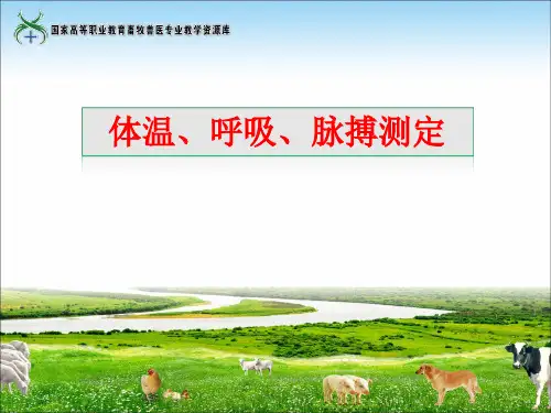 体温、呼吸、脉搏测定(精)