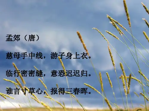 《18慈母情深》课件完美版[1]