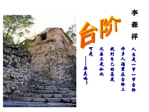人教部编版 台阶PPT课件1
