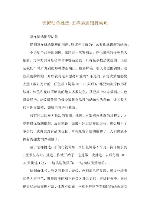 锦鲤幼鱼挑选-怎样挑选锦鲤幼鱼