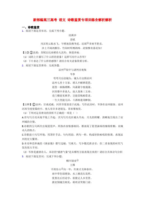 新部编高三高考 语文 诗歌鉴赏专项训练含解析解析