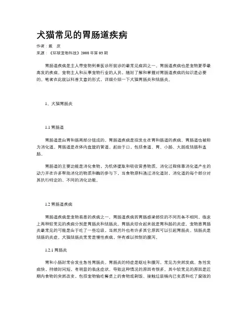 犬猫常见的胃肠道疾病