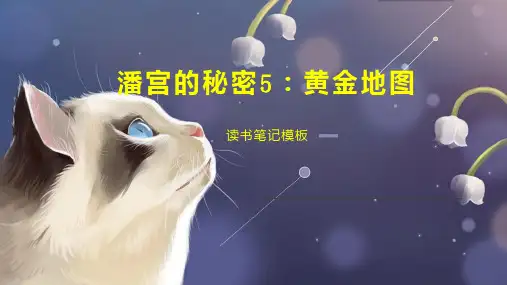 潘宫的秘密5：黄金地图