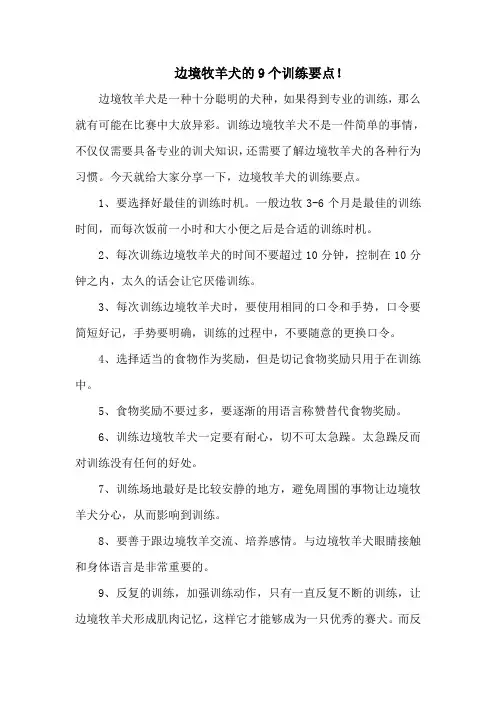 边境牧羊犬的9个训练要点!