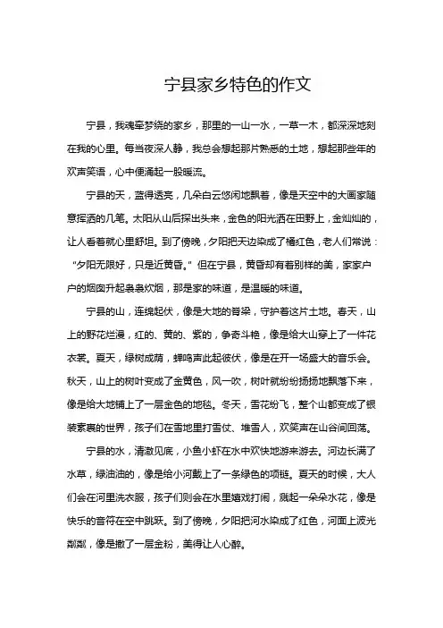 宁县家乡特色的作文