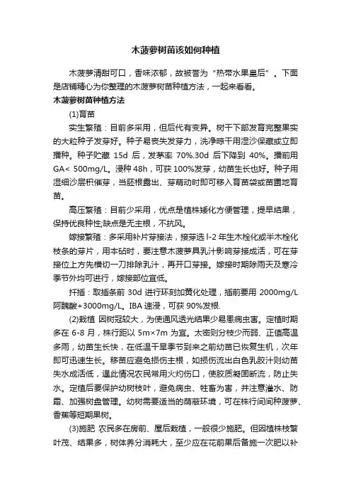 木菠萝树苗该如何种植
