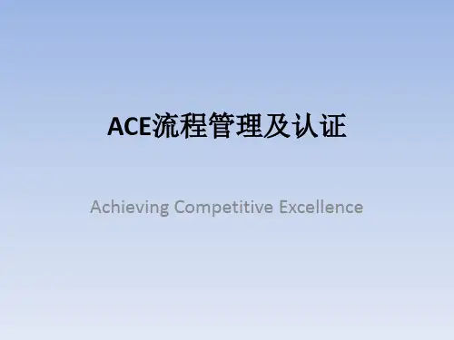 ACE流程管理及认证