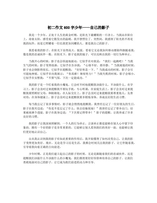 初二作文600字少年——自己的影子