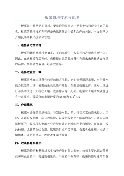 板栗栽培技术与管理