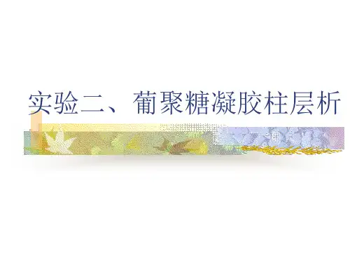实验三葡聚糖凝胶柱层析纯化蛋白质
