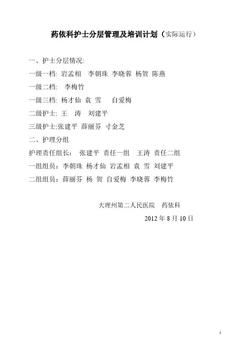 五病区护士分层管理及培训计划