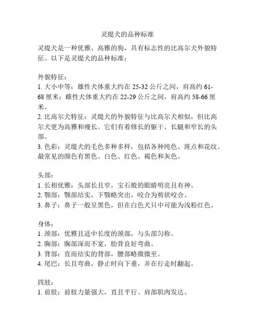 灵缇犬的品种标准