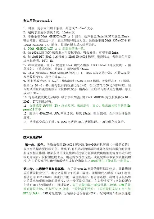 蛋白质酶解原理
