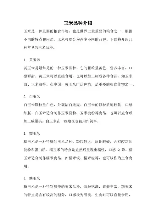 玉米品种介绍